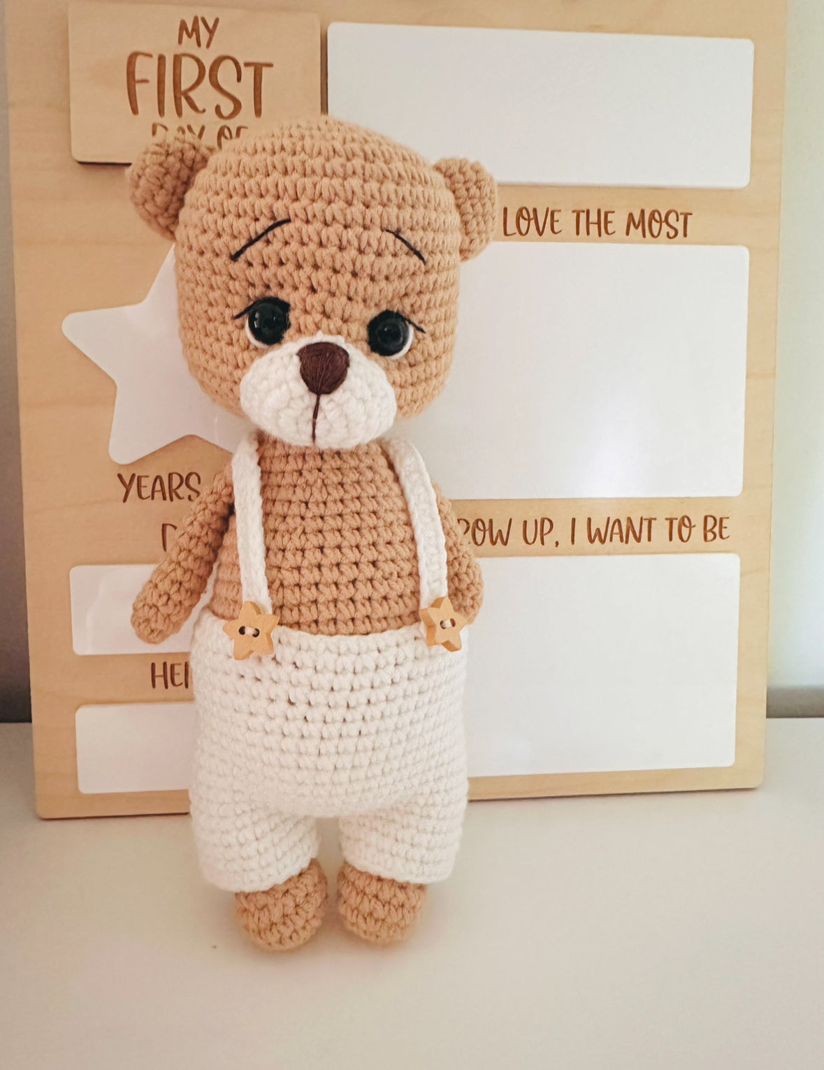 Amigurumi Teddy Bear. 20cm